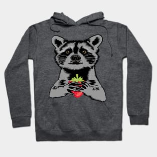 Begging Raccoon With Strawberry Hoodie